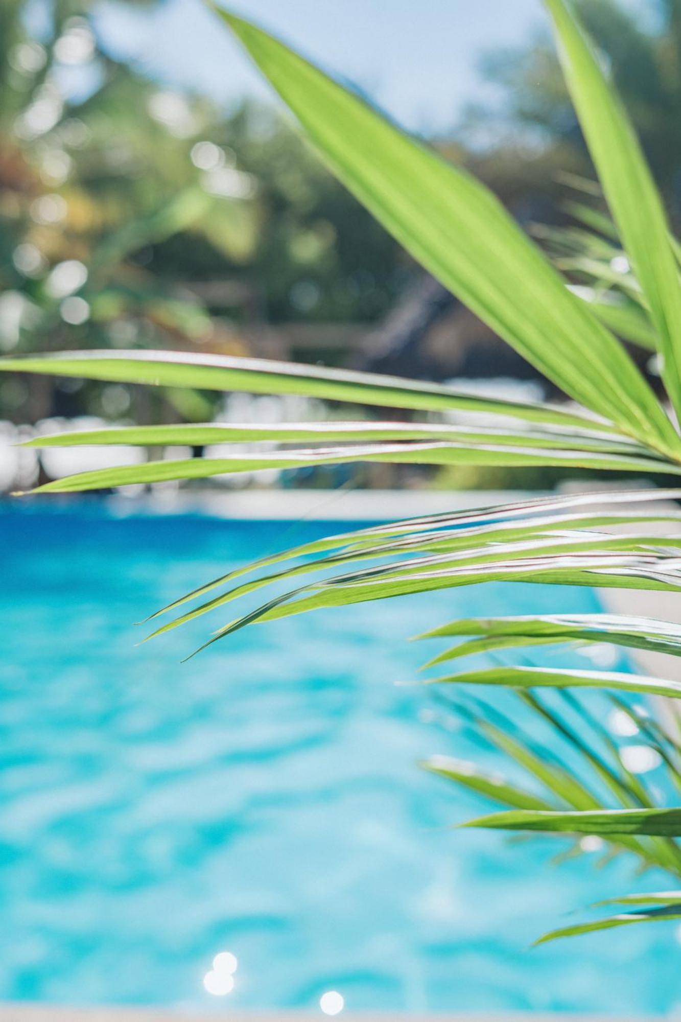 Bella Vista Resort Zanzibar Kizimkazi Exteriör bild