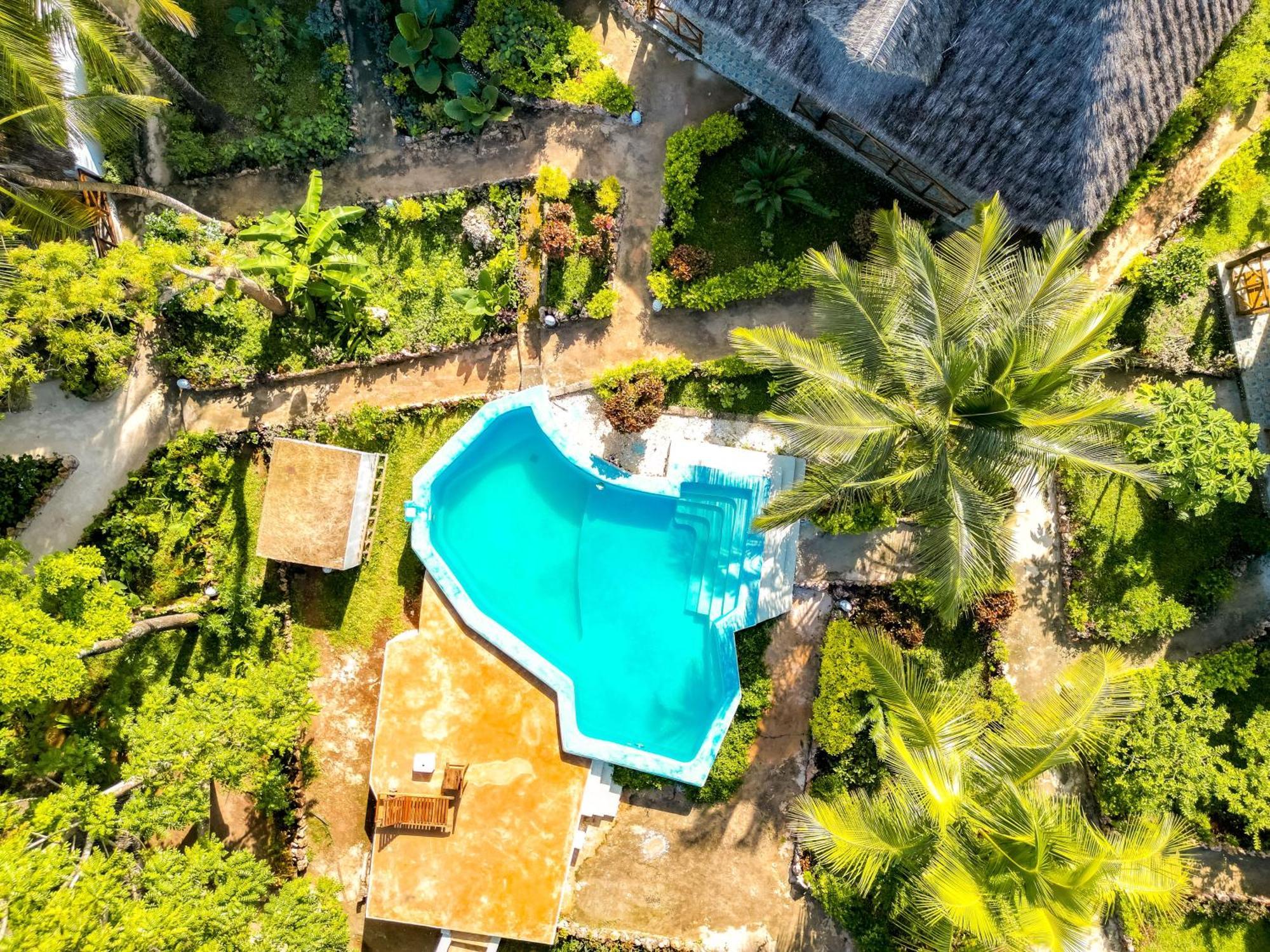 Bella Vista Resort Zanzibar Kizimkazi Exteriör bild